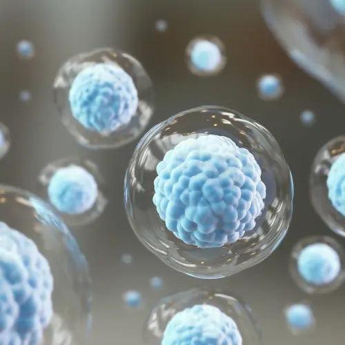 What is Cellular Detox?