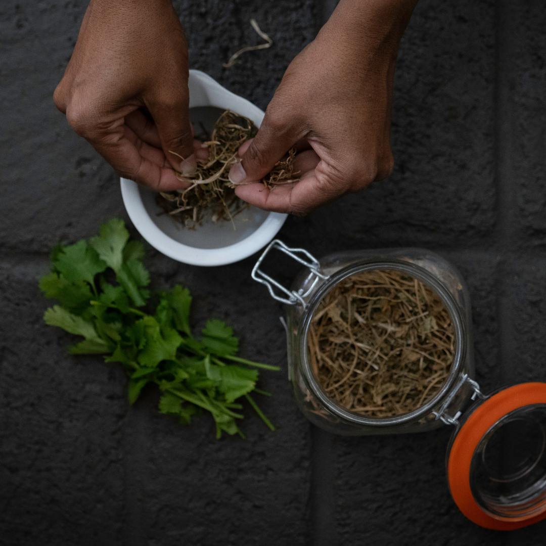 What Is Babchi Oil? The Ayurvedic Root Behind Our Supercharge Bakuchiol Serum